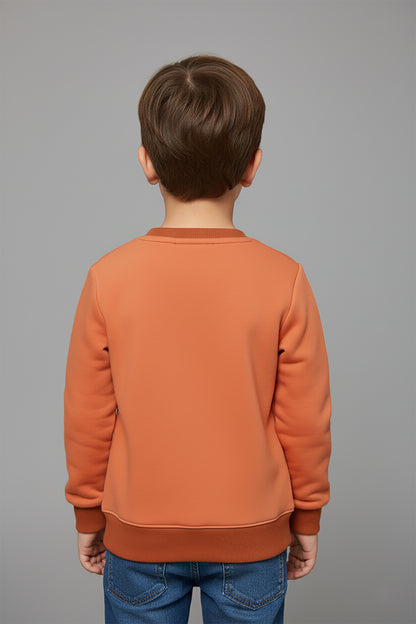 Embroidered Premium Velvet Sweatshirt (LPWB-0002)