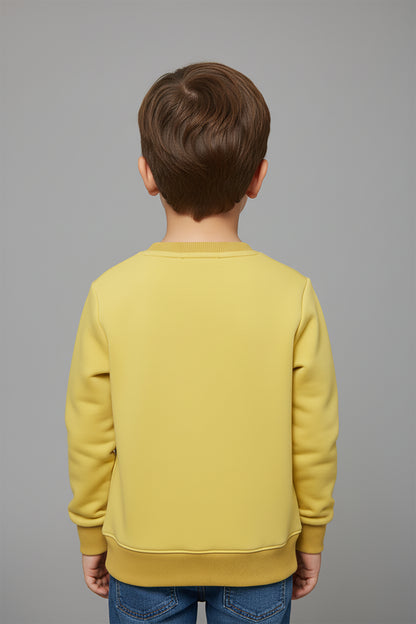 Embroidered Premium Velvet Sweatshirt (LPWB-0003)