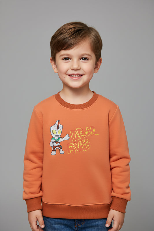 Embroidered Premium Velvet Sweatshirt (LPWB-0002)