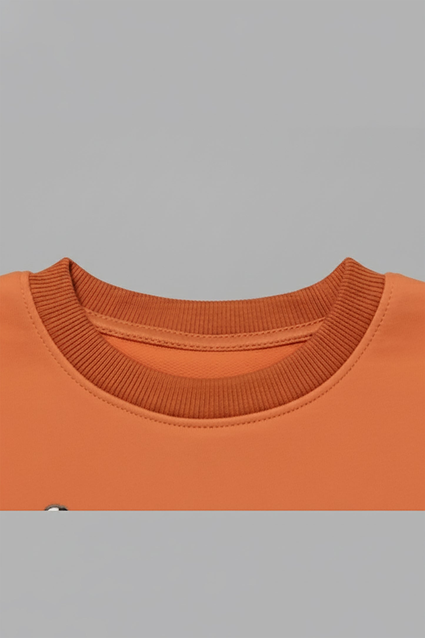 Embroidered Premium Velvet Sweatshirt (LPWB-0002)