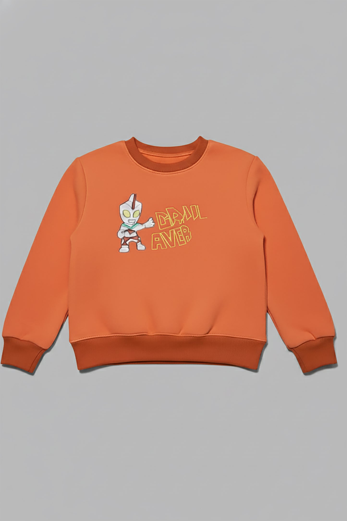 Embroidered Premium Velvet Sweatshirt (LPWB-0002)