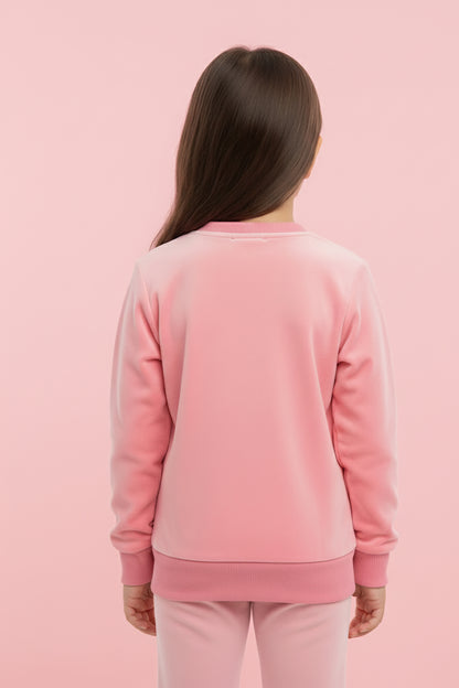 Embroidered Premium Velvet Sweatshirt (LPWG-0006)