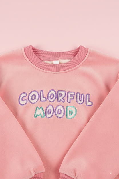 Embroidered Premium Velvet Sweatshirt (LPWG-0006)